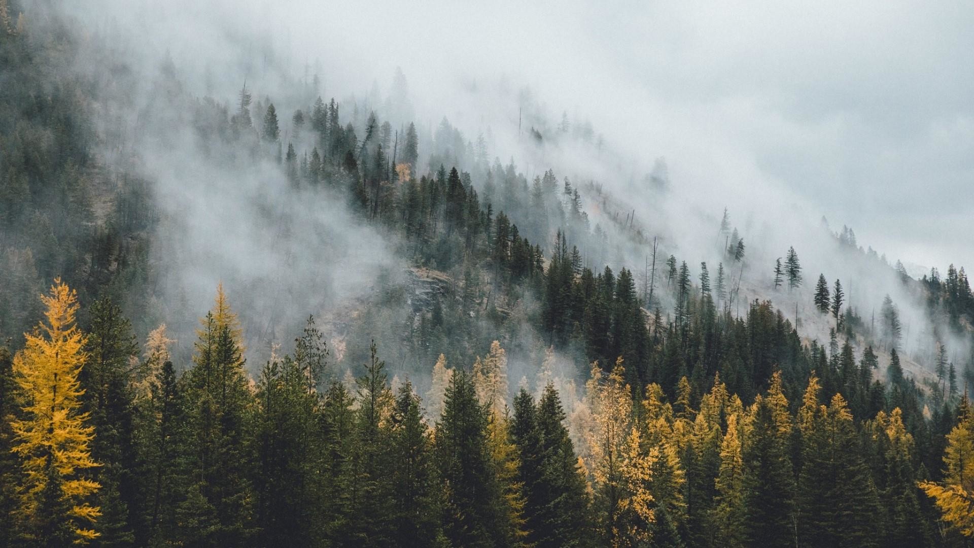 Mountains